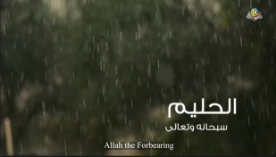 اسم الله (الحليم)