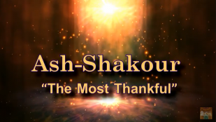 Ash-Shakour (The Most Thankful)